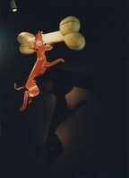 1991_2000\1997.0222pubfoto.jpg; 1997.0222; ;